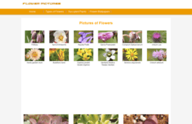 flowerspictures.org