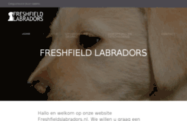 freshfieldslabradors.nl