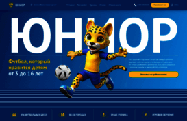 fsjunior.com