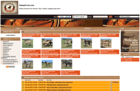 gallopcircle.com