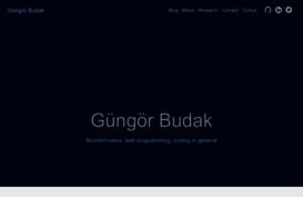 gungorbudak.com