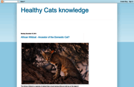healthy-cats.blogspot.co.uk