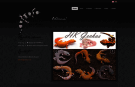 hkgeckos.com
