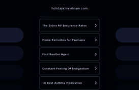 holidaystovietnam.com