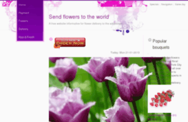 infatop.com