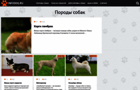 infodog.ru