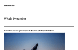 internationalwhaleprotection.org