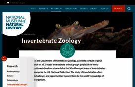invertebrates.si.edu