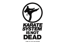 karatesystem.com