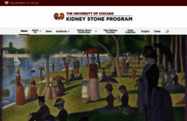 kidneystones.uchicago.edu