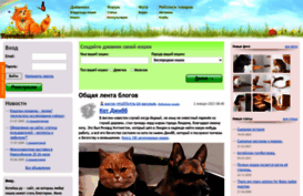 koteika.ru