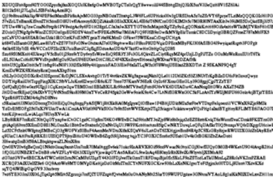 krakena.net
