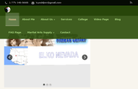 kyokushinnevada.com