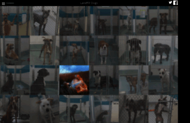landfilldogs.com