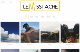 lemisstache.com