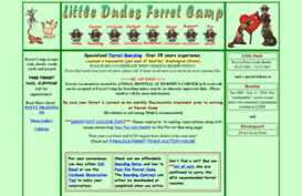 littledudesferretcamp.com