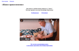 livelytouch.com