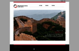mcmchina.com