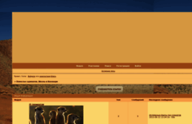 meerkatmanorlife.forumbb.ru