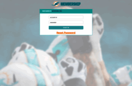 member.dolphins.com