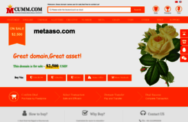 metaaso.com