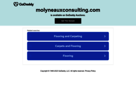 molyneauxconsulting.com