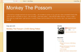 monkeythepossum.com