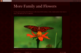 morefamilyandflowers-darla.blogspot.in