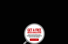 mould-solutions.com