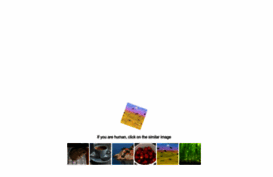 multi-rip.ru