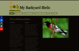 mybackyardbirds.com
