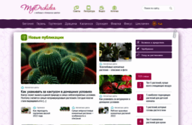 myorchidea.ru