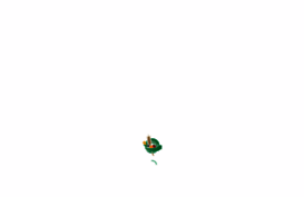 namc.co.za