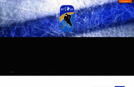 nationalteamsoficehockey.com