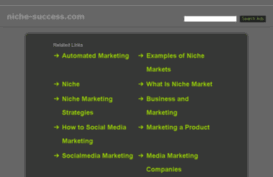 niche-success.com
