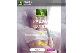 nitochek.net