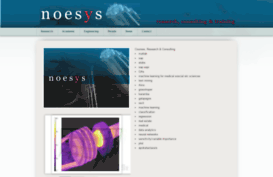 noesys.webs.com