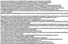 nomerokblatnoi.ru