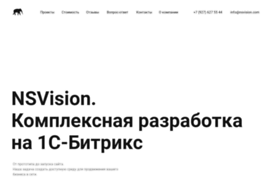 nsvision.com