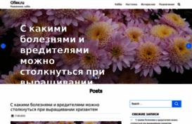 oflex.ru
