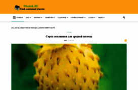 ozon2.ru