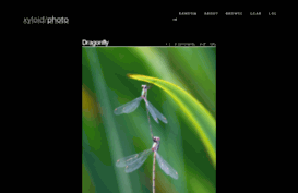 photoblog.xyloid.org