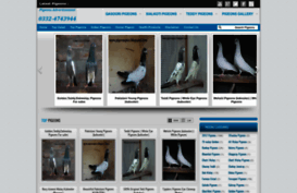 pigeonspics.blogspot.com