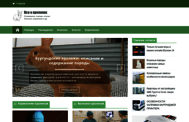 podriv.ru