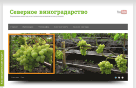 posadivinograd.ru