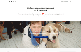 problemdog.ru