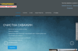 profremontnn.ru