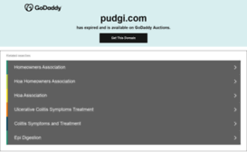 pudgi.com