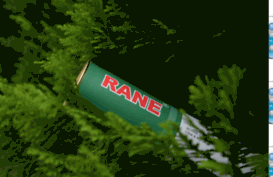 rane-nature-cures.com