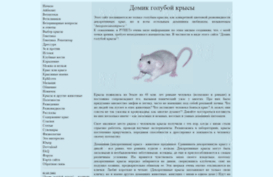 rat.ru